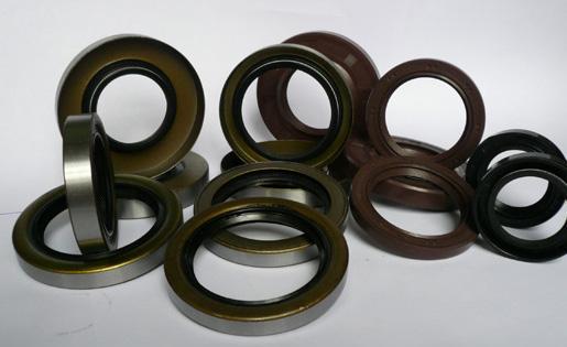 專(zhuān)業(yè)生產(chǎn)骨架油封 鐵殼油封 氟橡膠油封