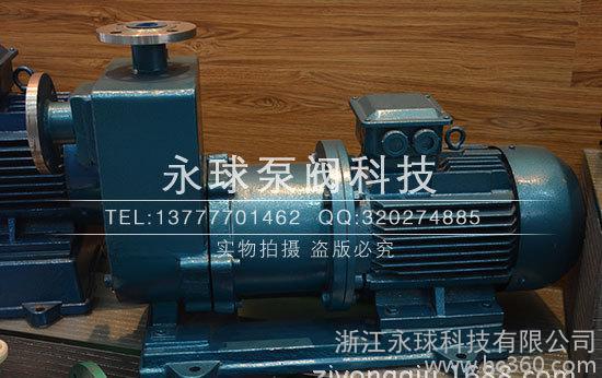 不銹鋼耐腐蝕磁力泵，自吸式磁力泵， 防爆型磁力泵 ZCQ25-20-115