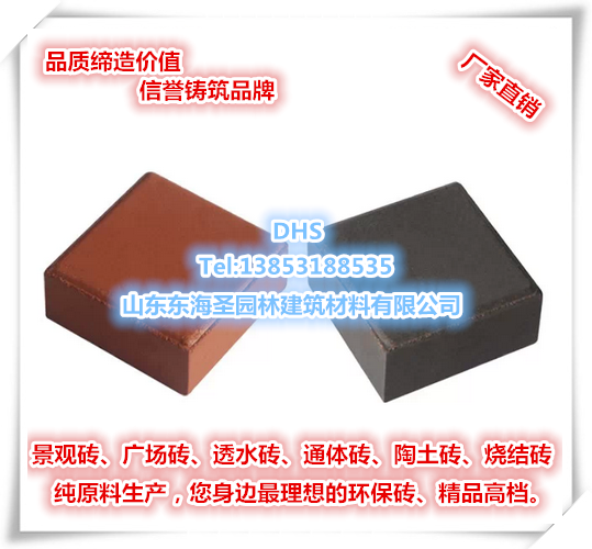 陶質路面磚廣場磚園林磚平面磚毛面磚路面鋪建光面磚燒結磚