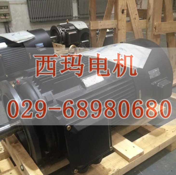 西瑪牌YD160M-8/6轉(zhuǎn)變極多速電動機銷售