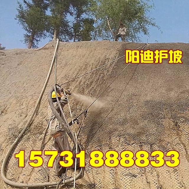 十堰客土噴播，武漢邊坡綠化，湖北山體錨噴，黃石掛網(wǎng)噴漿，荊州混凝土噴漿，陽迪公司