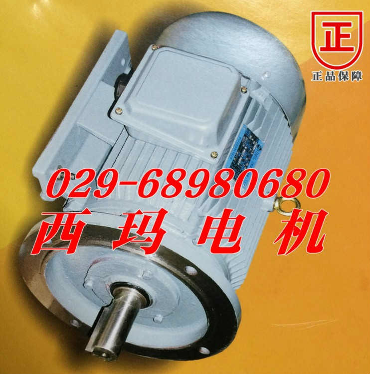 北京供應(yīng)YL4504-6 630KW立式高壓電機